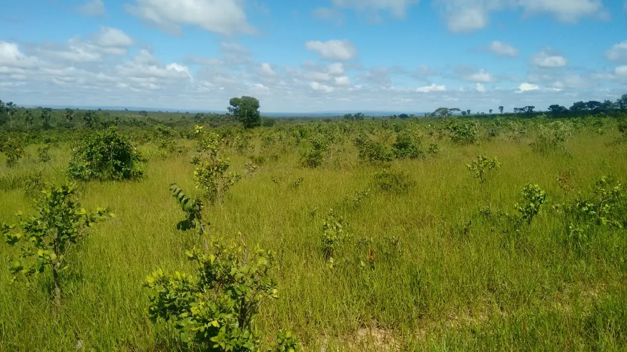 Fazenda à venda de 2.081 ha em João Pinheiro, MG, Brasil
