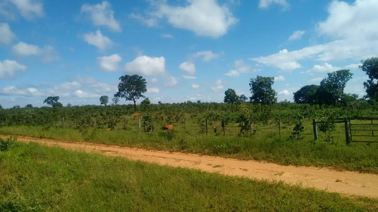Fazenda à venda de 2.081 ha em João Pinheiro, MG, Brasil