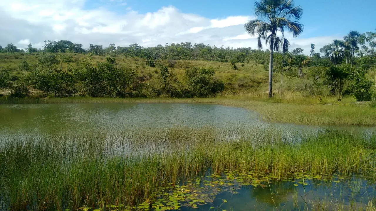 Fazenda à venda de 2.081 ha em João Pinheiro, MG, Brasil