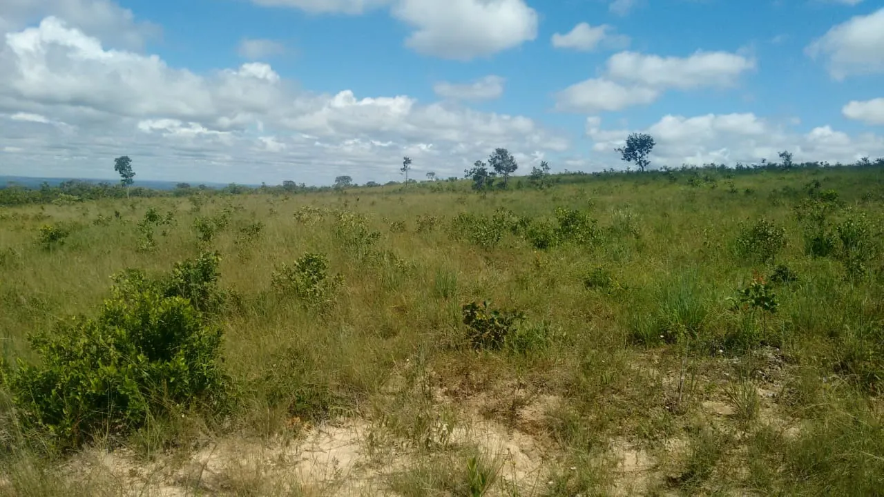 Fazenda à venda de 2.081 ha em João Pinheiro, MG, Brasil