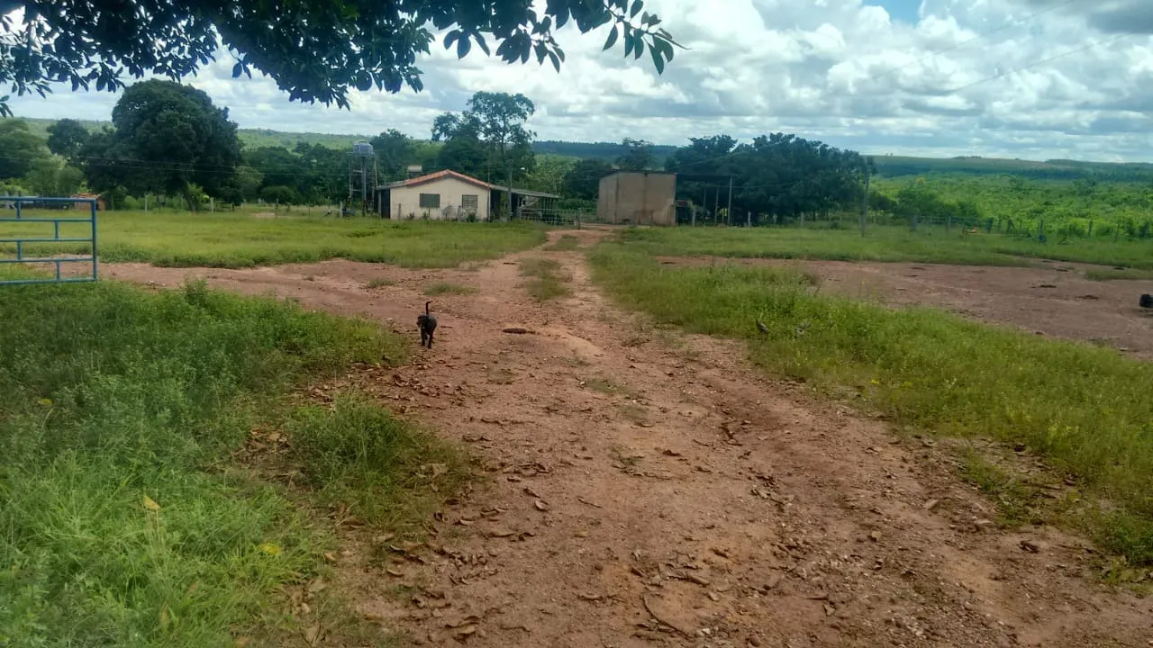 Farm for sale of 5,141 acres in João Pinheiro, MG, Brazil