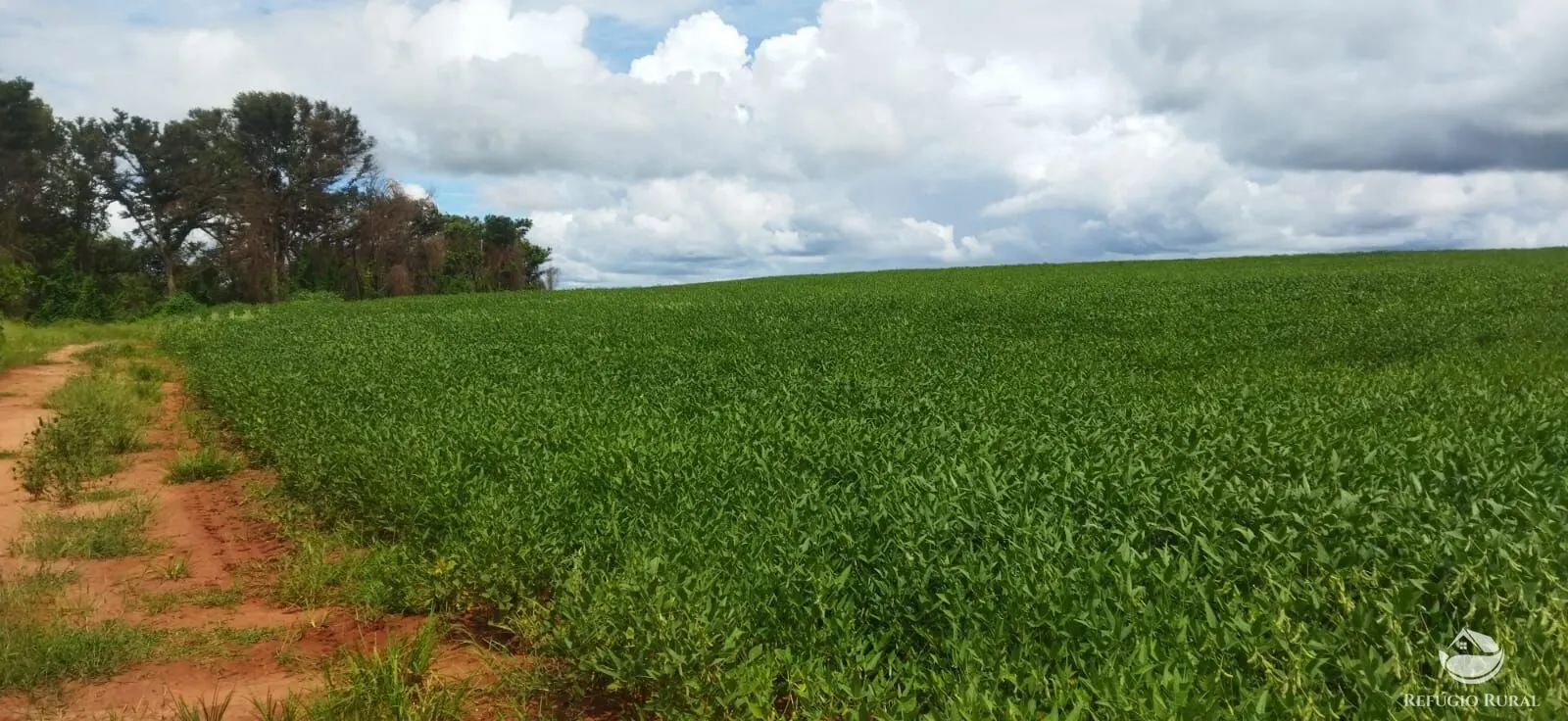 Sítio à venda de 53 ha em Frutal, MG, Brasil