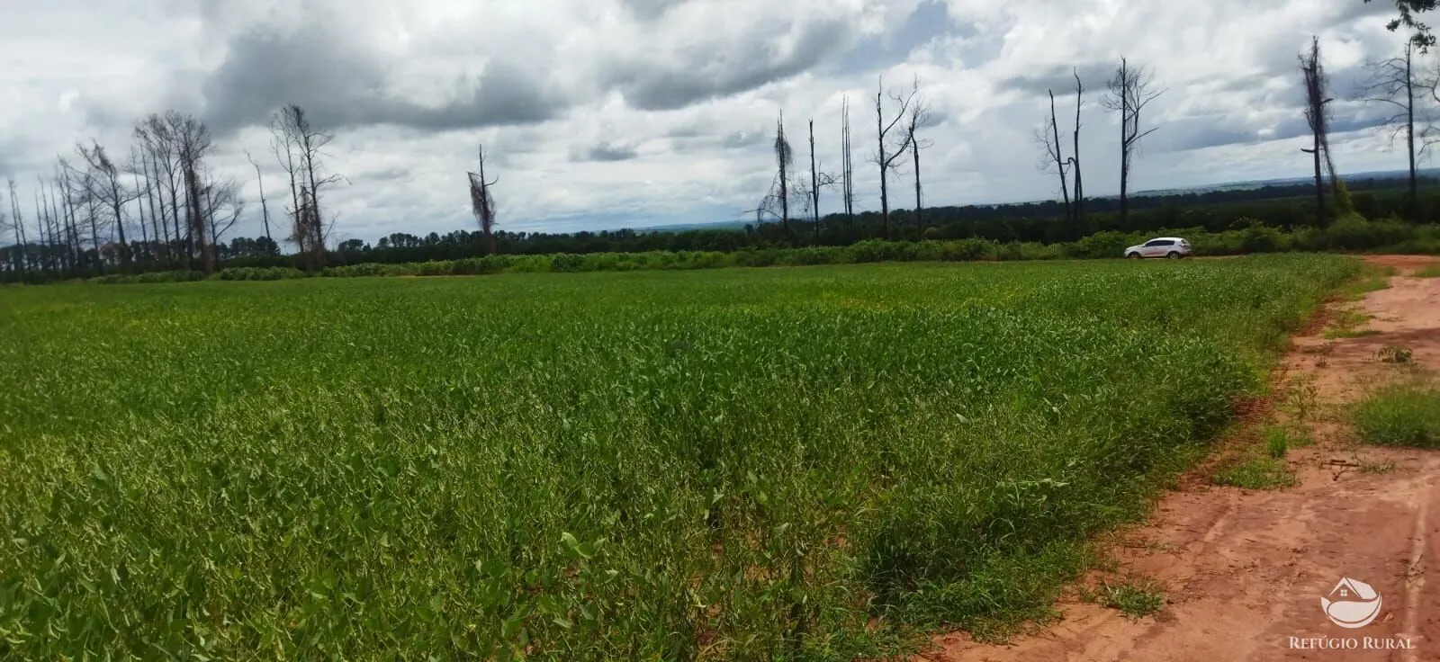 Sítio à venda de 53 ha em Frutal, MG, Brasil