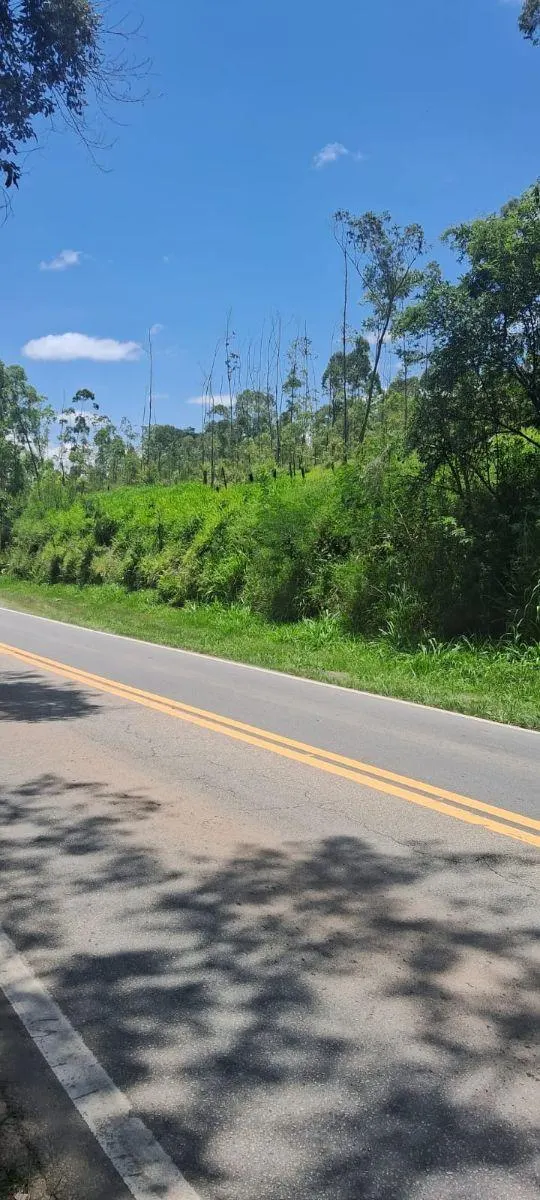 Sítio à venda de 46 ha em Ibiúna, SP, Brasil