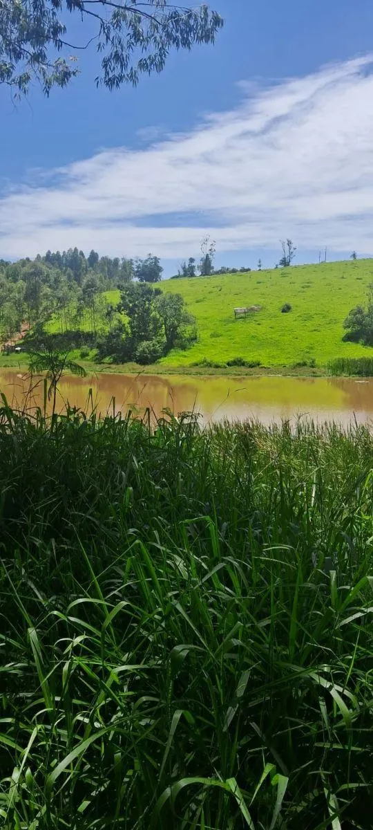 Sítio à venda de 46 ha em Ibiúna, SP, Brasil