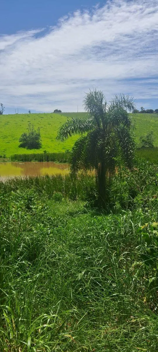 Sítio à venda de 46 ha em Ibiúna, SP, Brasil