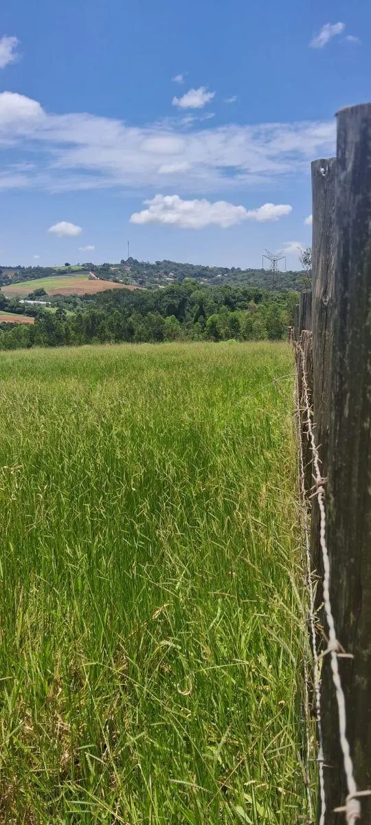 Sítio à venda de 46 ha em Ibiúna, SP, Brasil