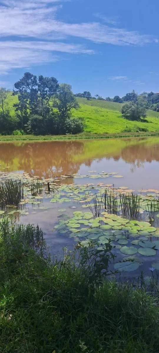 Sítio à venda de 46 ha em Ibiúna, SP, Brasil
