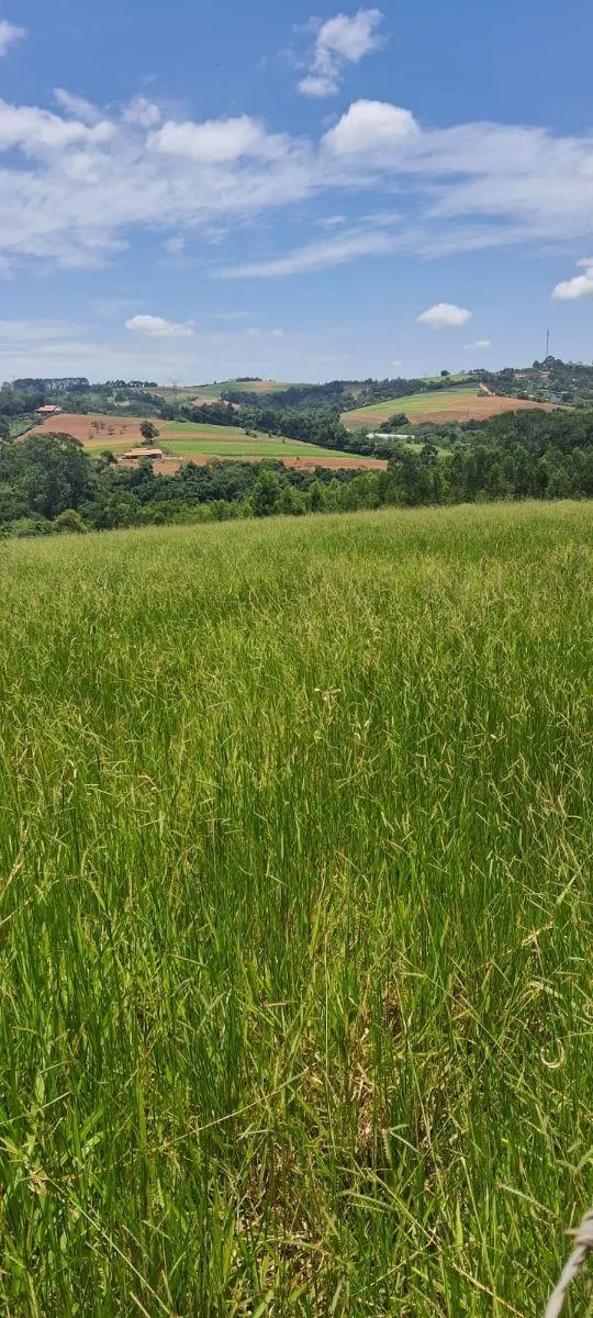 Sítio à venda de 46 ha em Ibiúna, SP, Brasil
