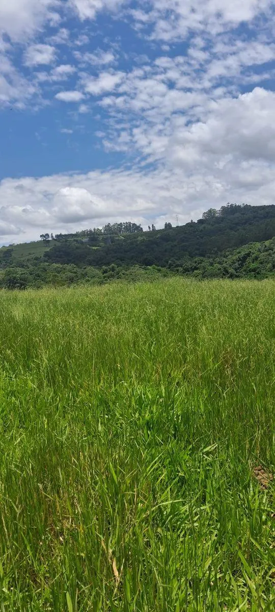 Sítio à venda de 46 ha em Ibiúna, SP, Brasil