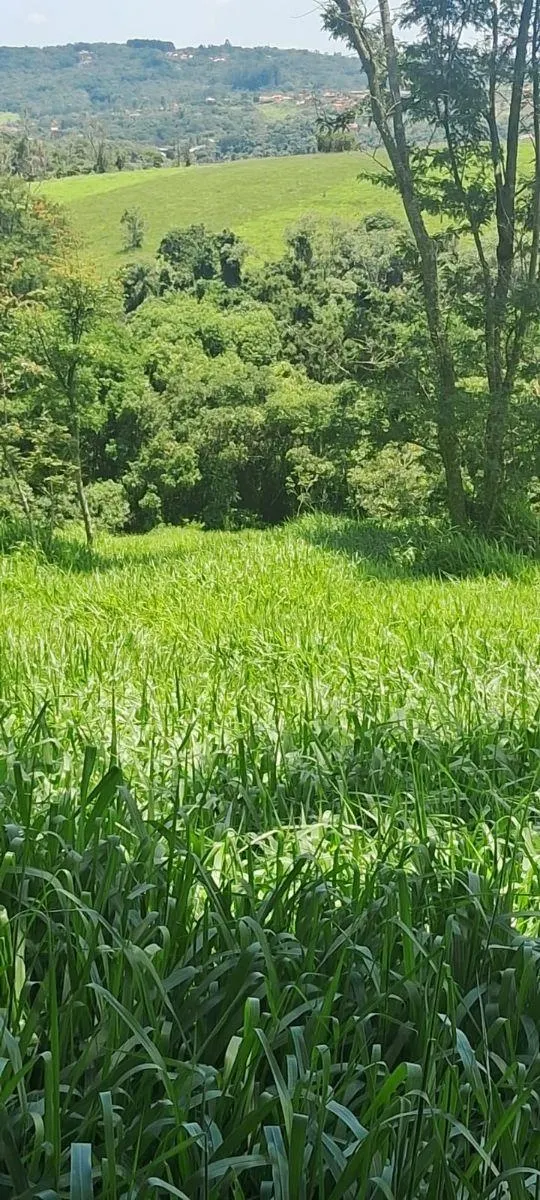 Sítio à venda de 46 ha em Ibiúna, SP, Brasil