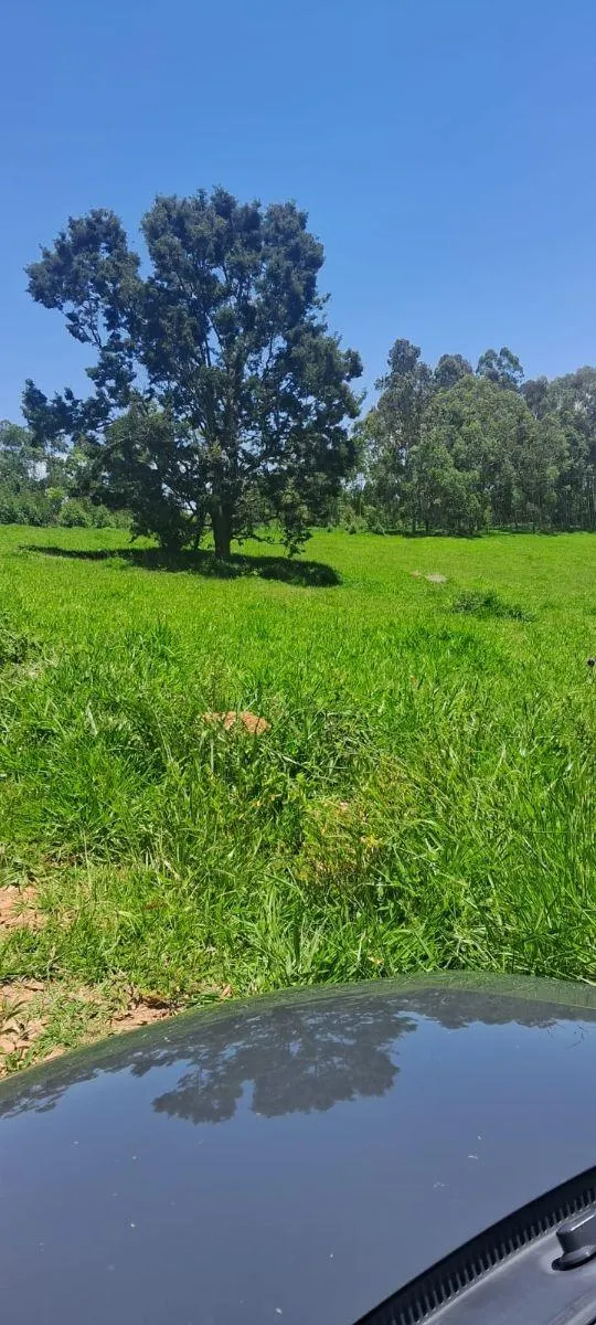 Sítio à venda de 46 ha em Ibiúna, SP, Brasil