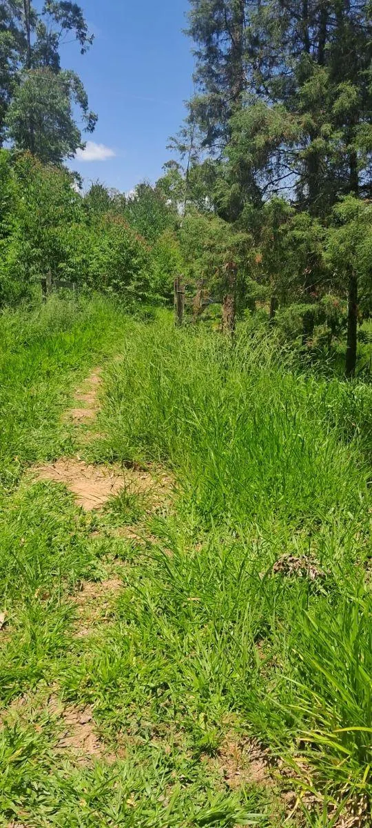Sítio à venda de 46 ha em Ibiúna, SP, Brasil