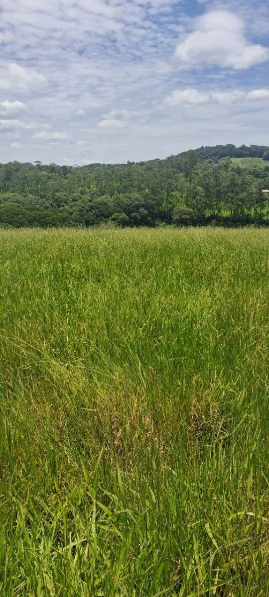 Sítio à venda de 46 ha em Ibiúna, SP, Brasil