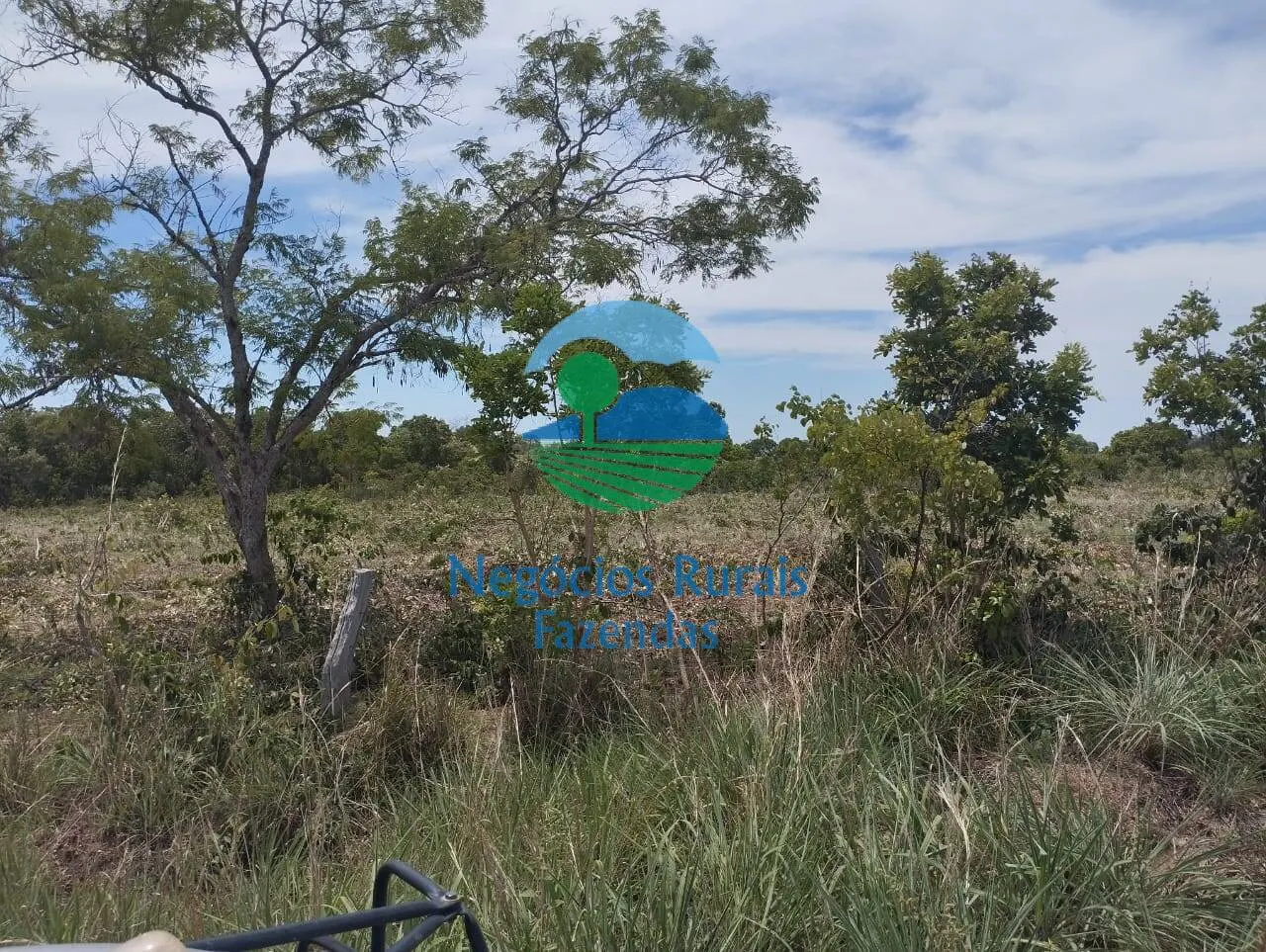 Fazenda à venda de 1.282 ha em Peixe, TO, Brasil