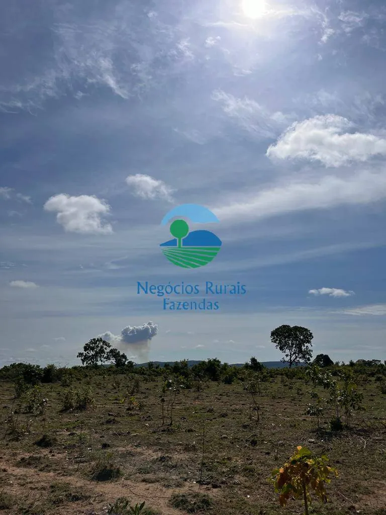 Fazenda à venda de 1.282 ha em Peixe, TO, Brasil