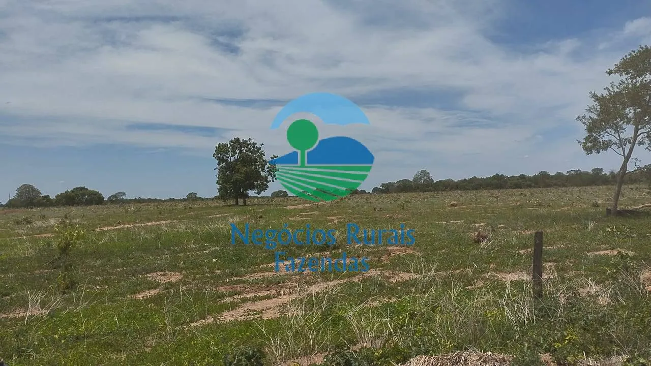 Fazenda à venda de 1.282 ha em Peixe, TO, Brasil
