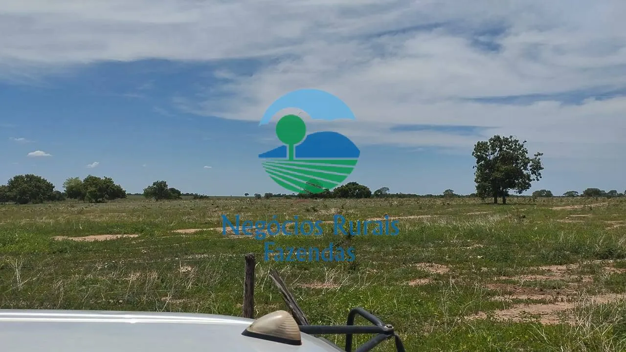 Fazenda à venda de 1.282 ha em Peixe, TO, Brasil
