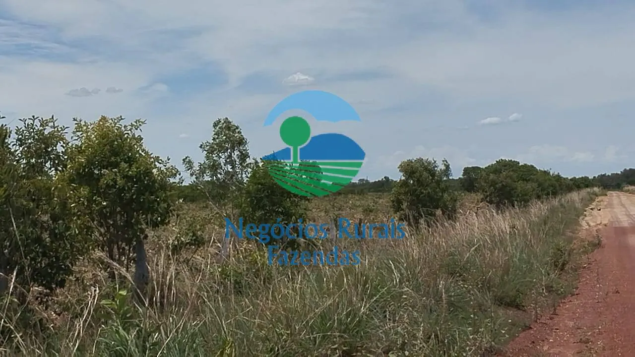 Fazenda à venda de 1.282 ha em Peixe, TO, Brasil
