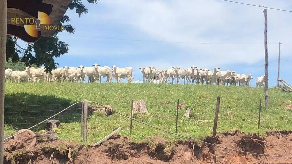 Fazenda à venda de 1.058 ha em Santo Antônio do Leverger, MT, Brasil