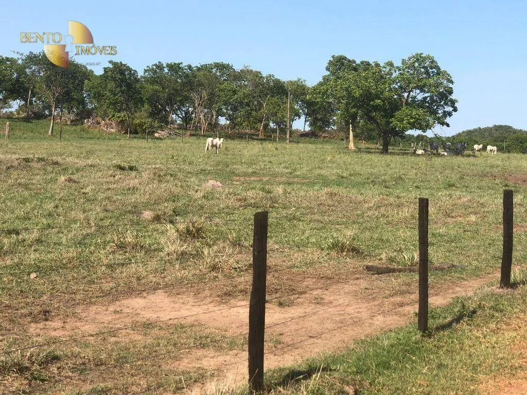 Fazenda à venda de 1.058 ha em Santo Antônio do Leverger, MT, Brasil