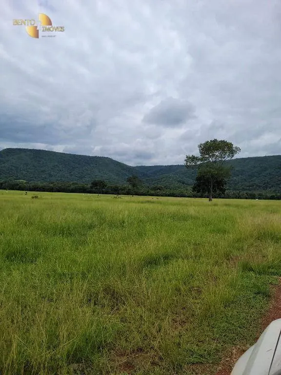 Fazenda à venda de 1.058 ha em Santo Antônio do Leverger, MT, Brasil