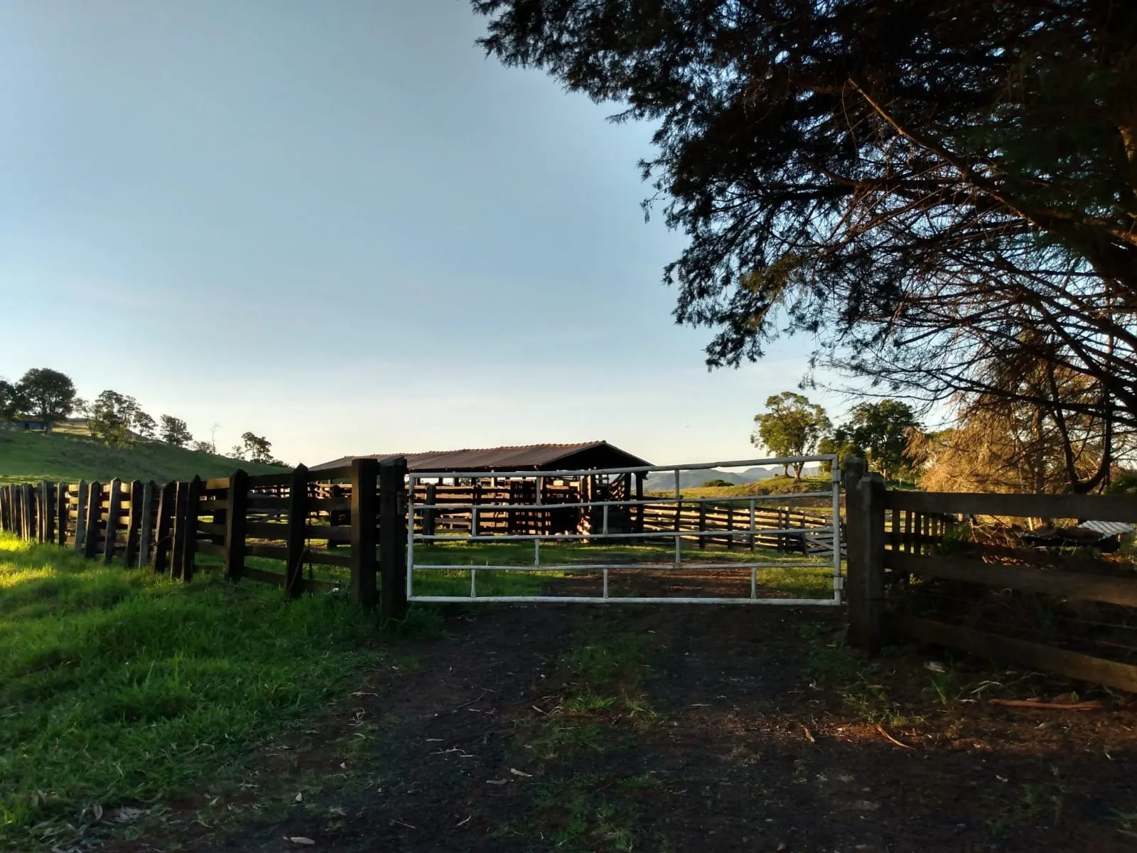 Fazenda à venda de 363 ha em Ortigueira, PR, Brasil