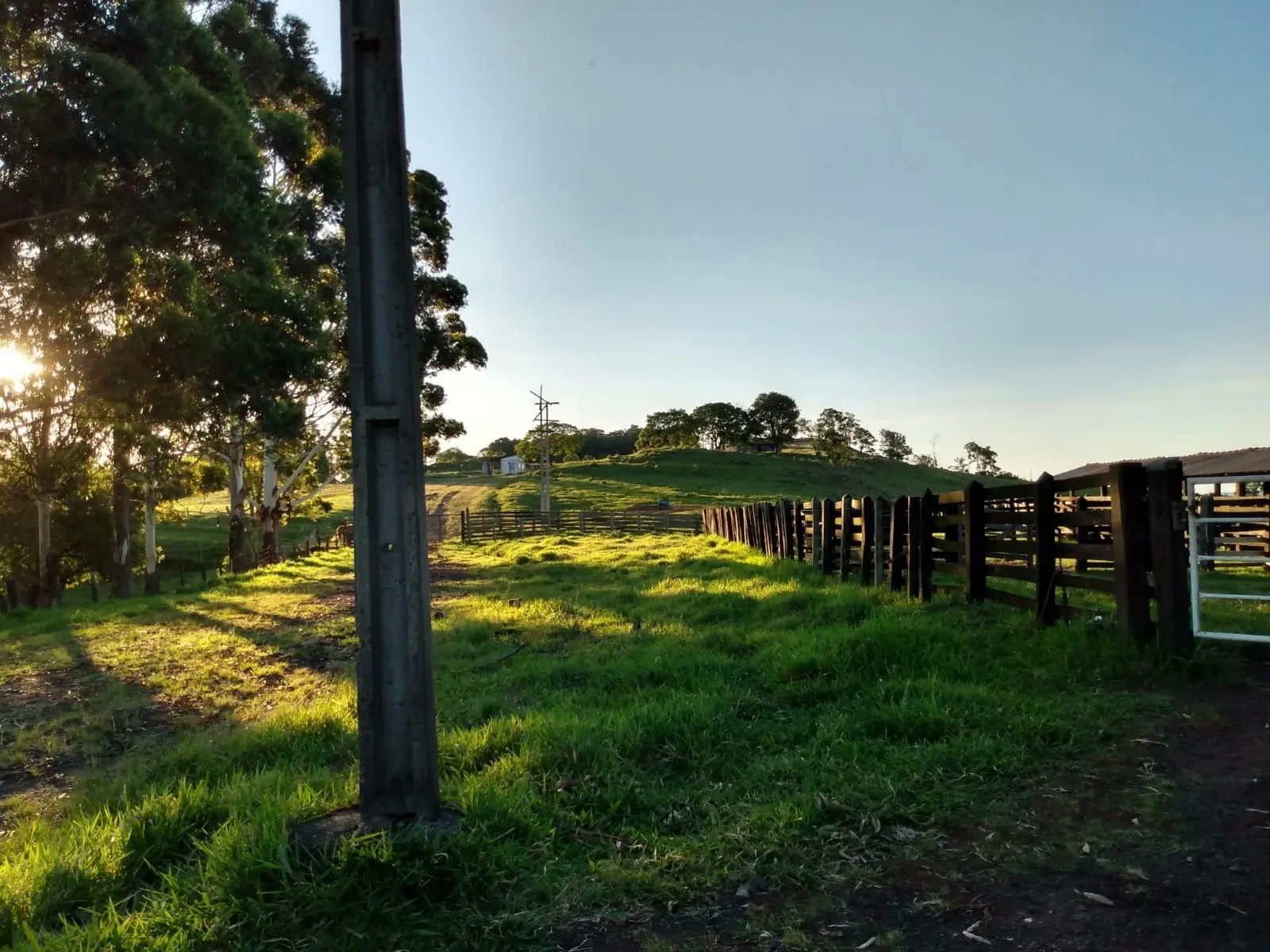 Fazenda à venda de 363 ha em Ortigueira, PR, Brasil