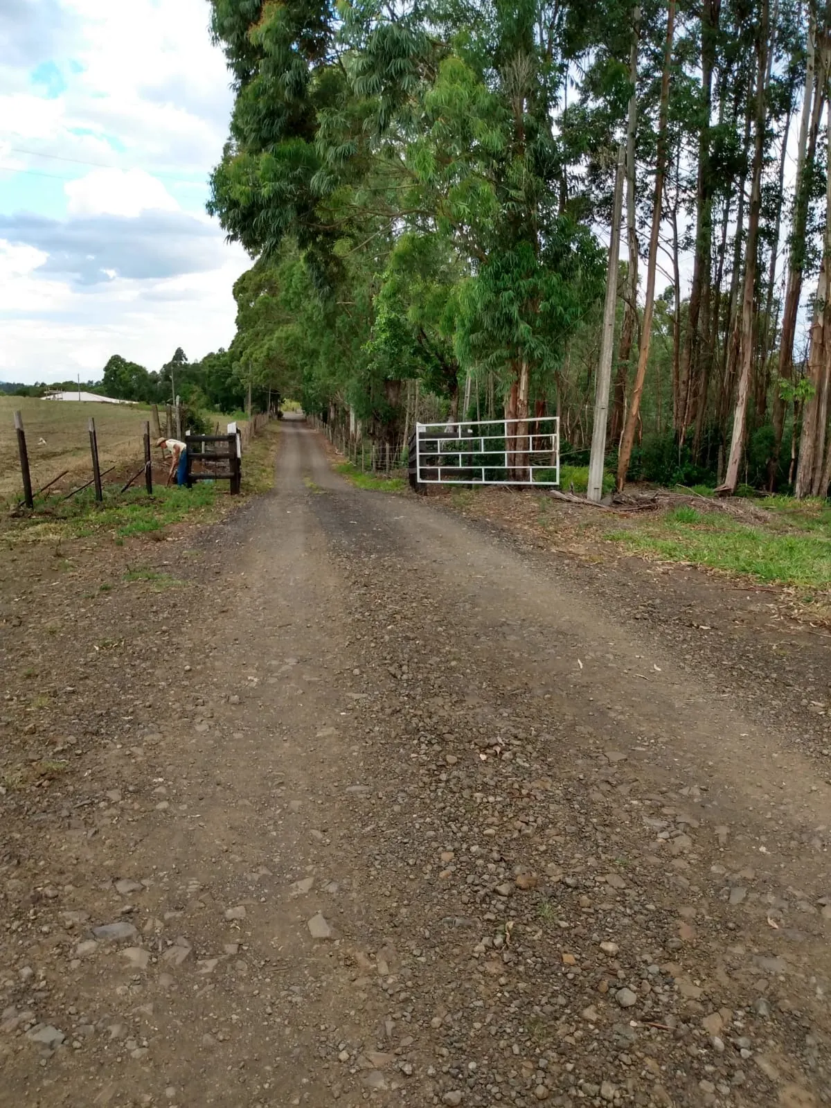 Fazenda à venda de 363 ha em Ortigueira, PR, Brasil