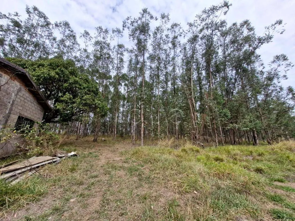 Sítio à venda de 14 ha em Piracicaba, SP, Brasil