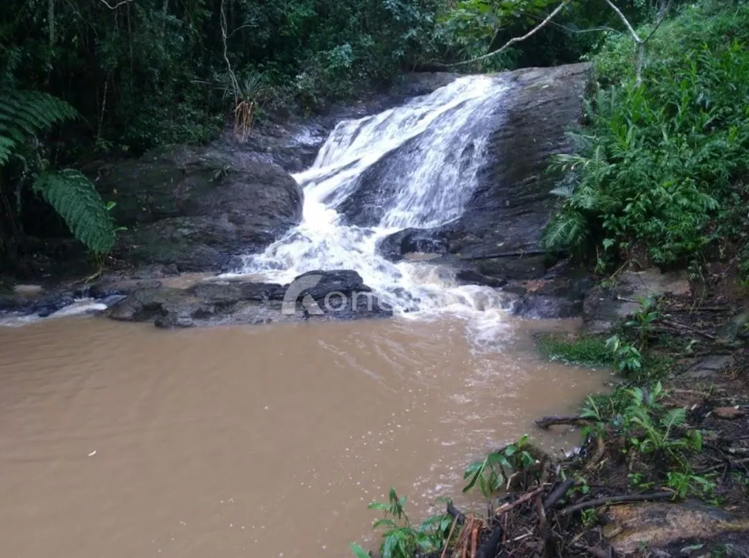 Fazenda à venda de 150 ha em Lagoinha, SP, Brasil
