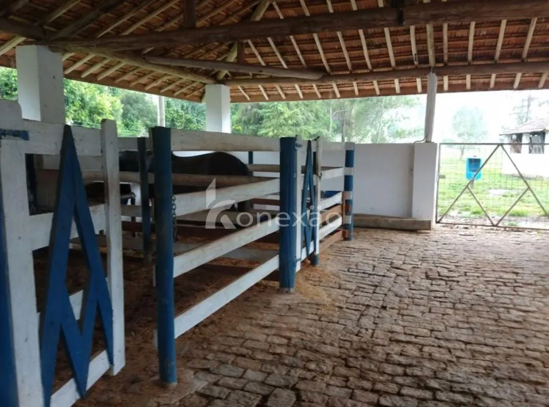 Fazenda à venda de 150 ha em Lagoinha, SP, Brasil