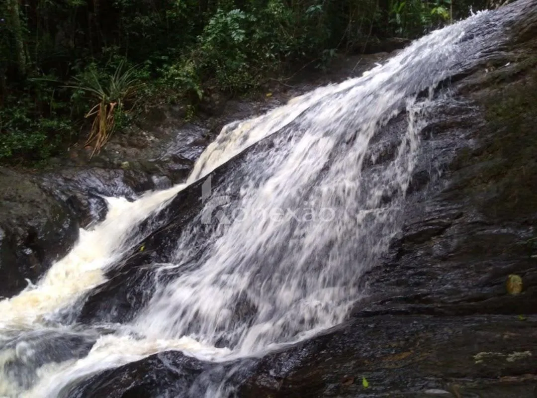 Fazenda à venda de 150 ha em Lagoinha, SP, Brasil