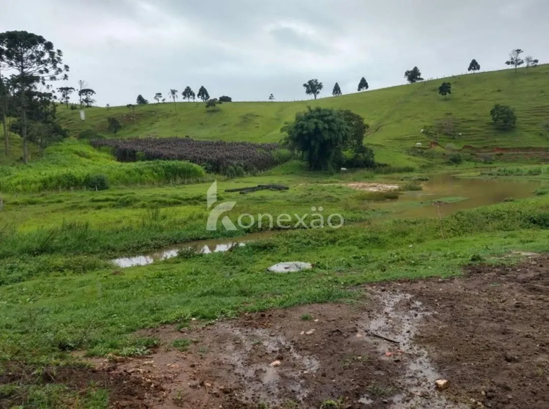 Fazenda à venda de 150 ha em Lagoinha, SP, Brasil