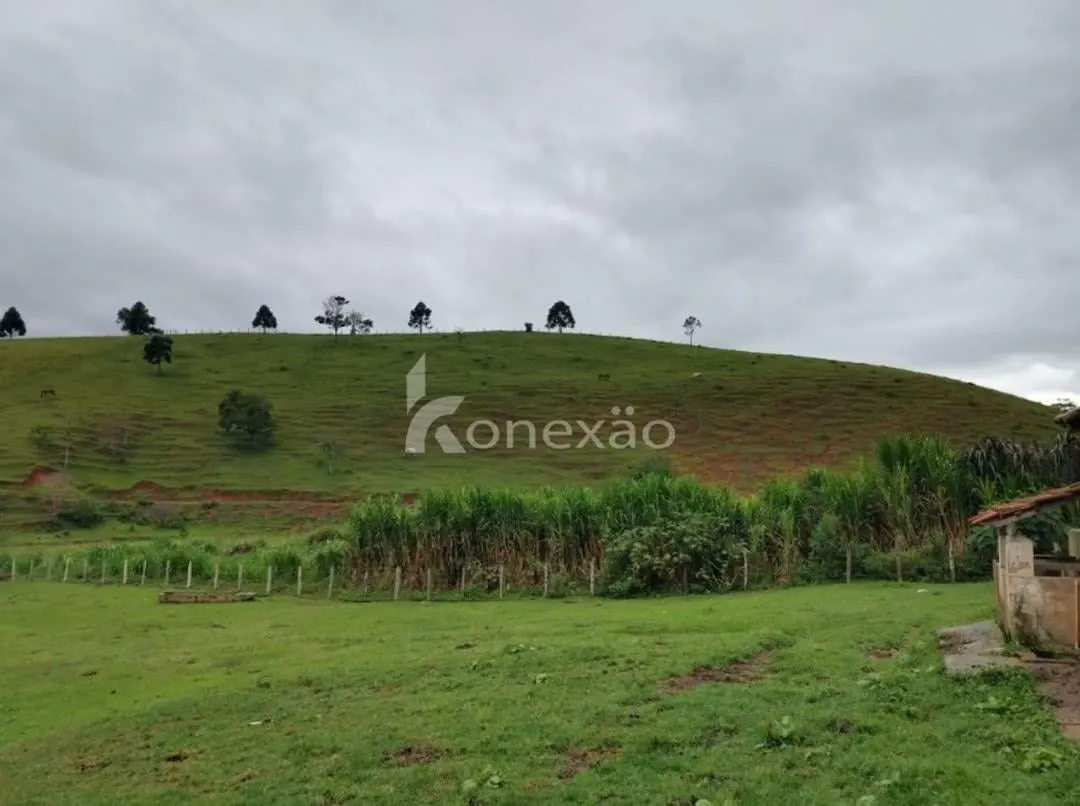 Fazenda à venda de 150 ha em Lagoinha, SP, Brasil