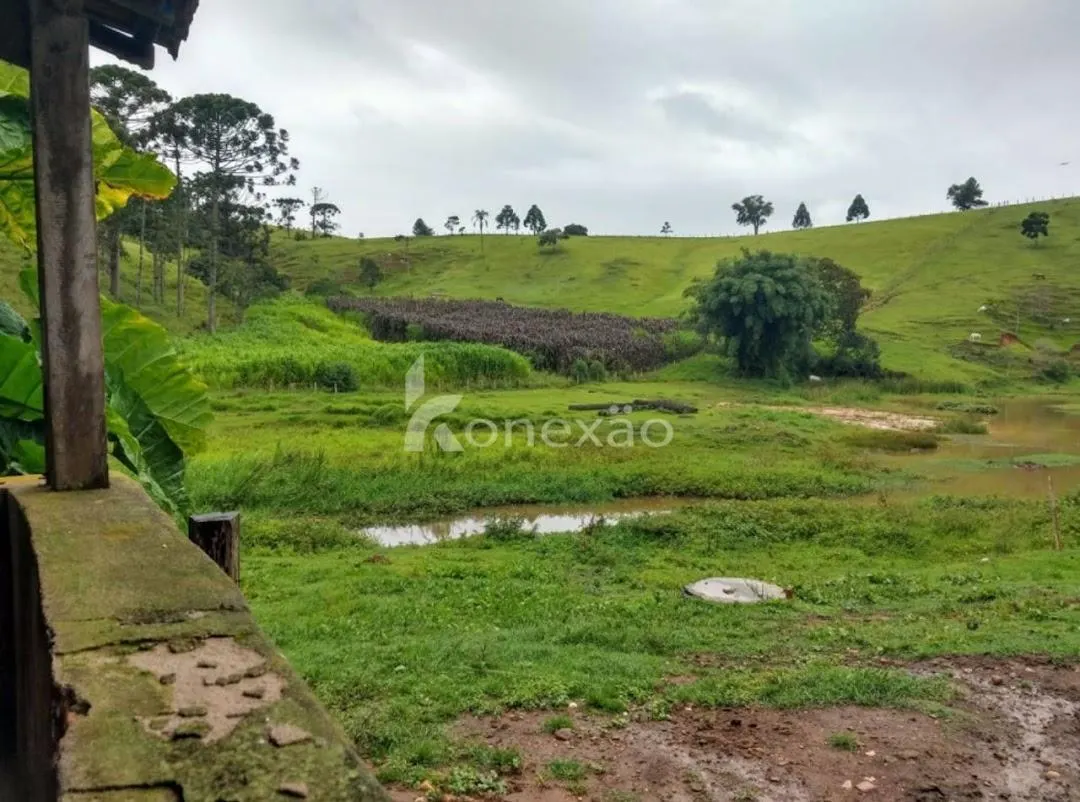 Fazenda à venda de 150 ha em Lagoinha, SP, Brasil