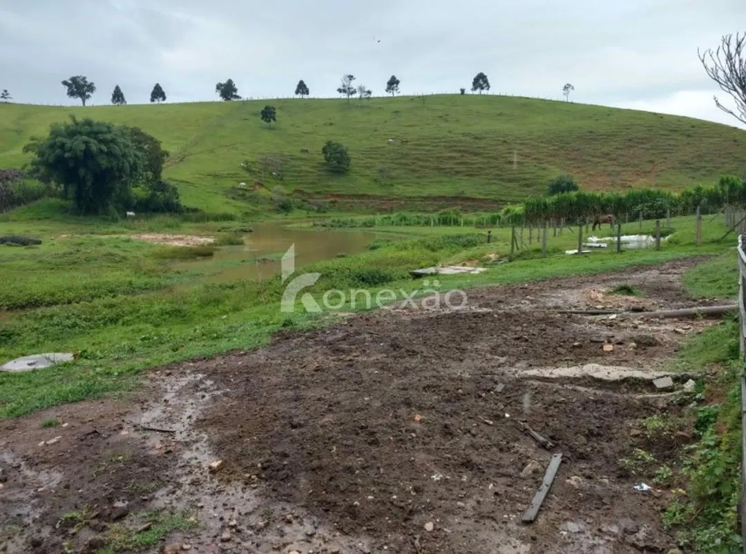 Fazenda à venda de 150 ha em Lagoinha, SP, Brasil