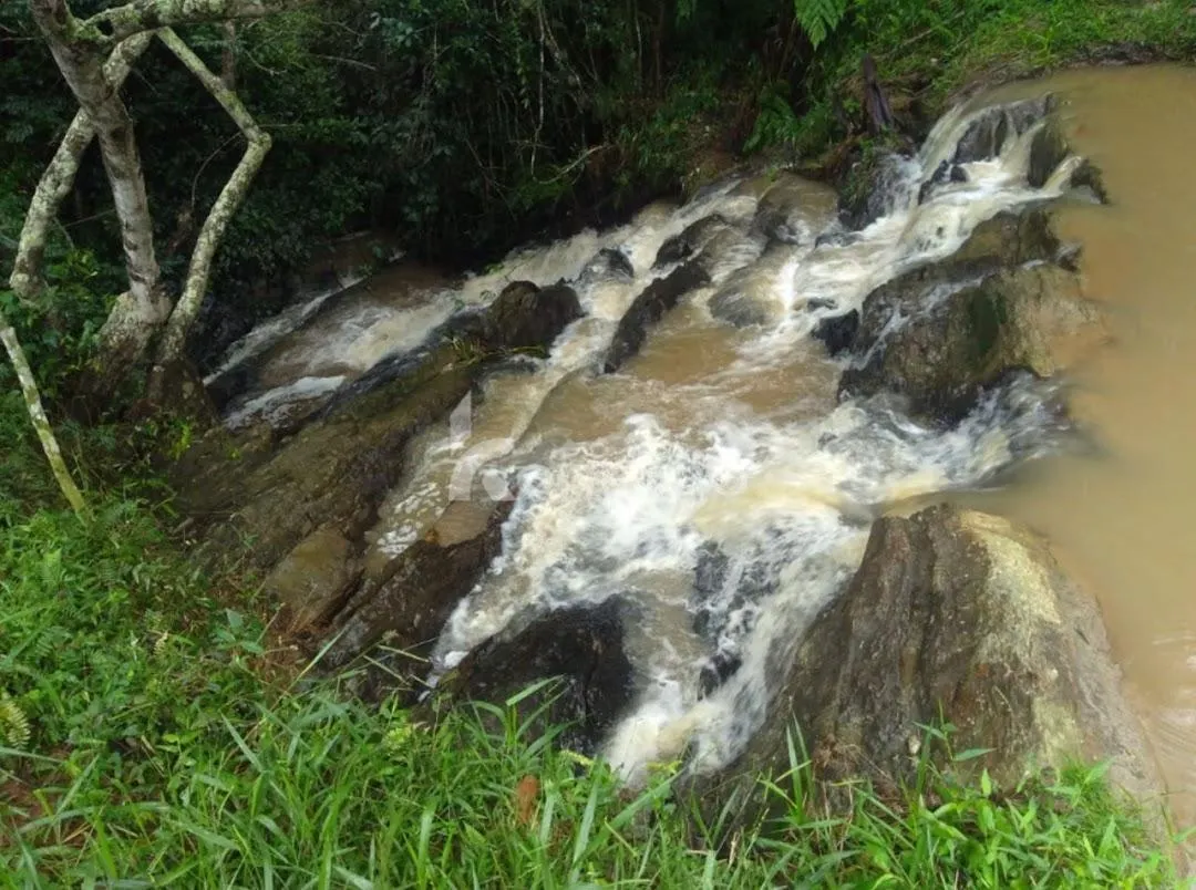 Fazenda à venda de 150 ha em Lagoinha, SP, Brasil