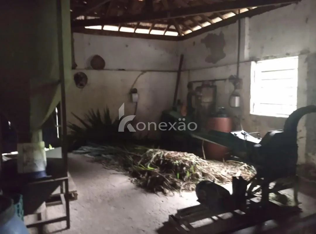 Fazenda à venda de 150 ha em Lagoinha, SP, Brasil