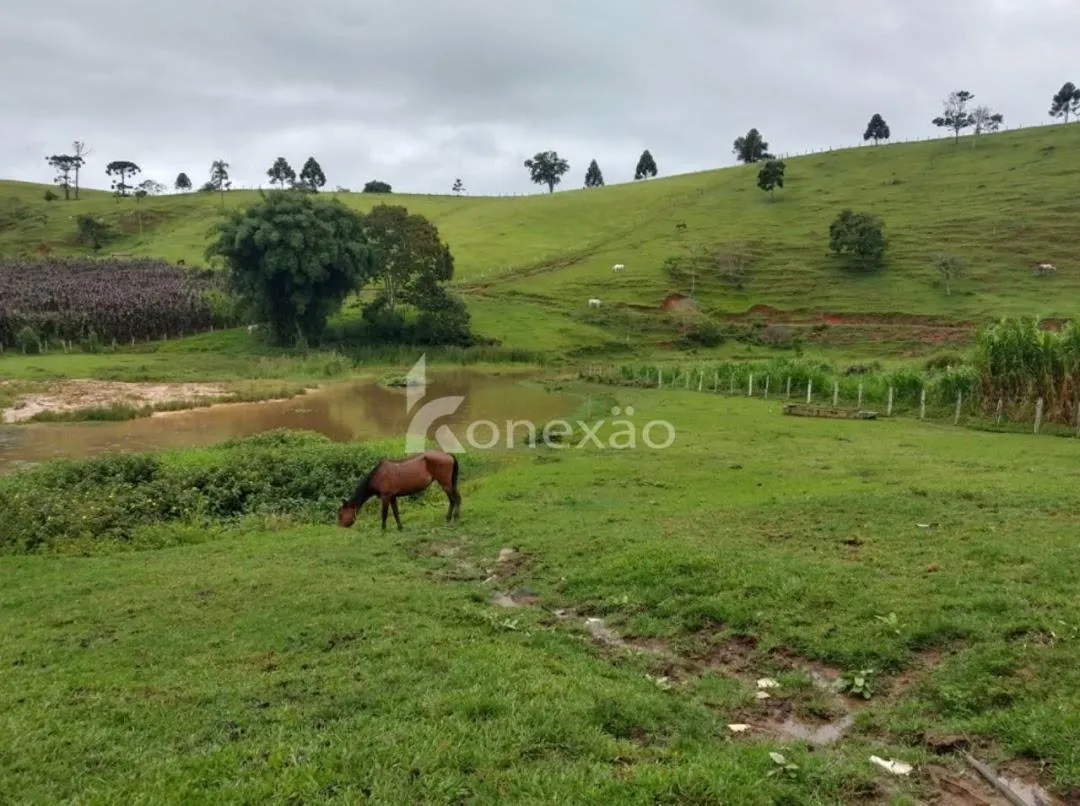Fazenda à venda de 150 ha em Lagoinha, SP, Brasil
