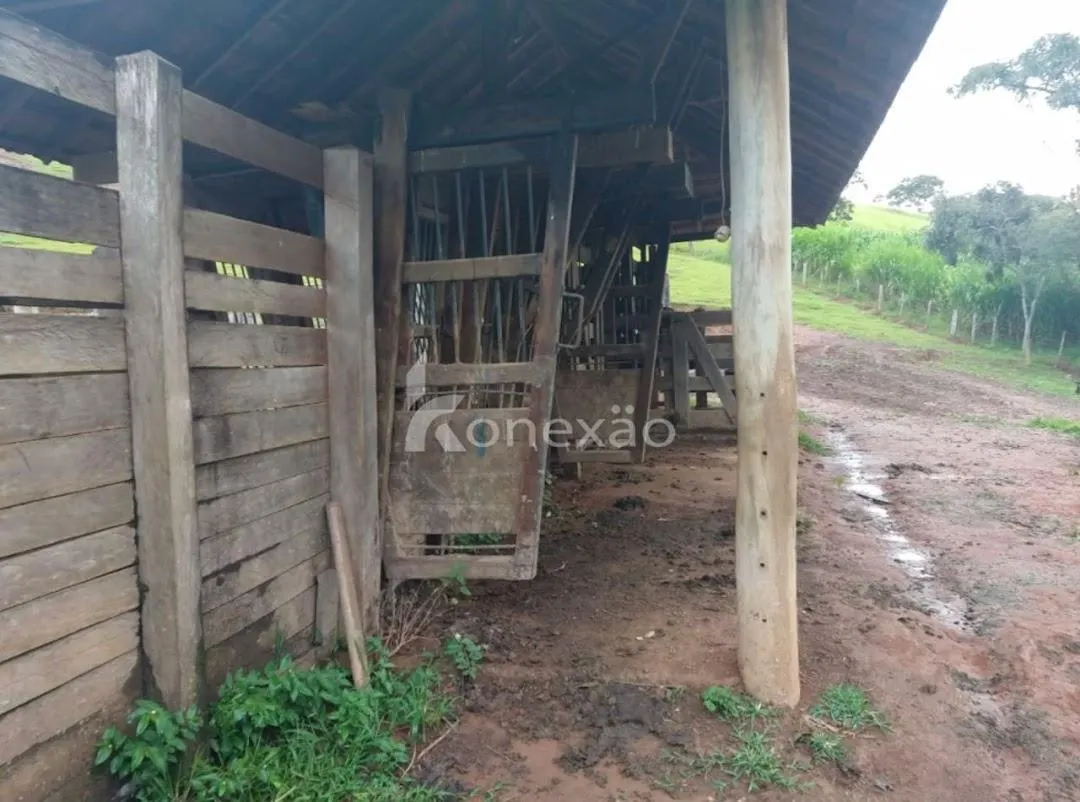 Fazenda à venda de 150 ha em Lagoinha, SP, Brasil