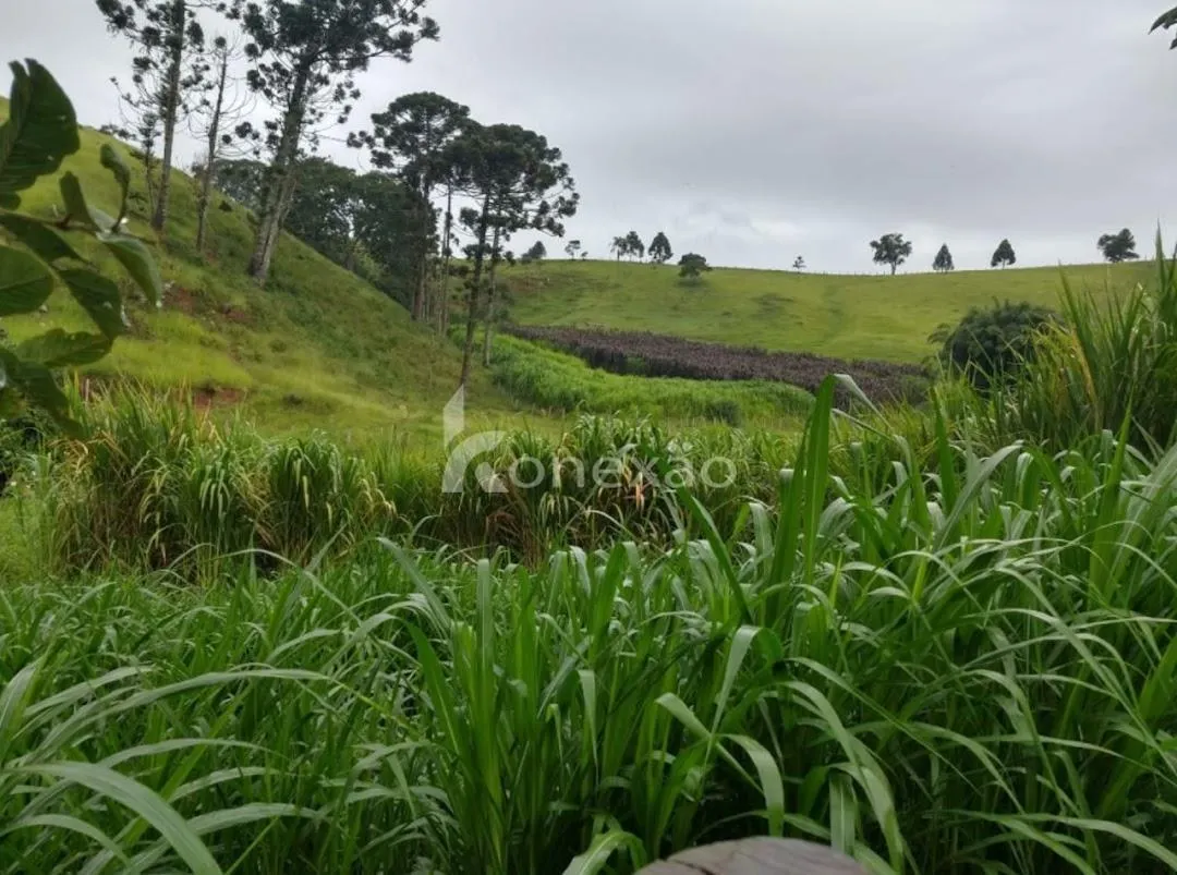 Fazenda à venda de 150 ha em Lagoinha, SP, Brasil