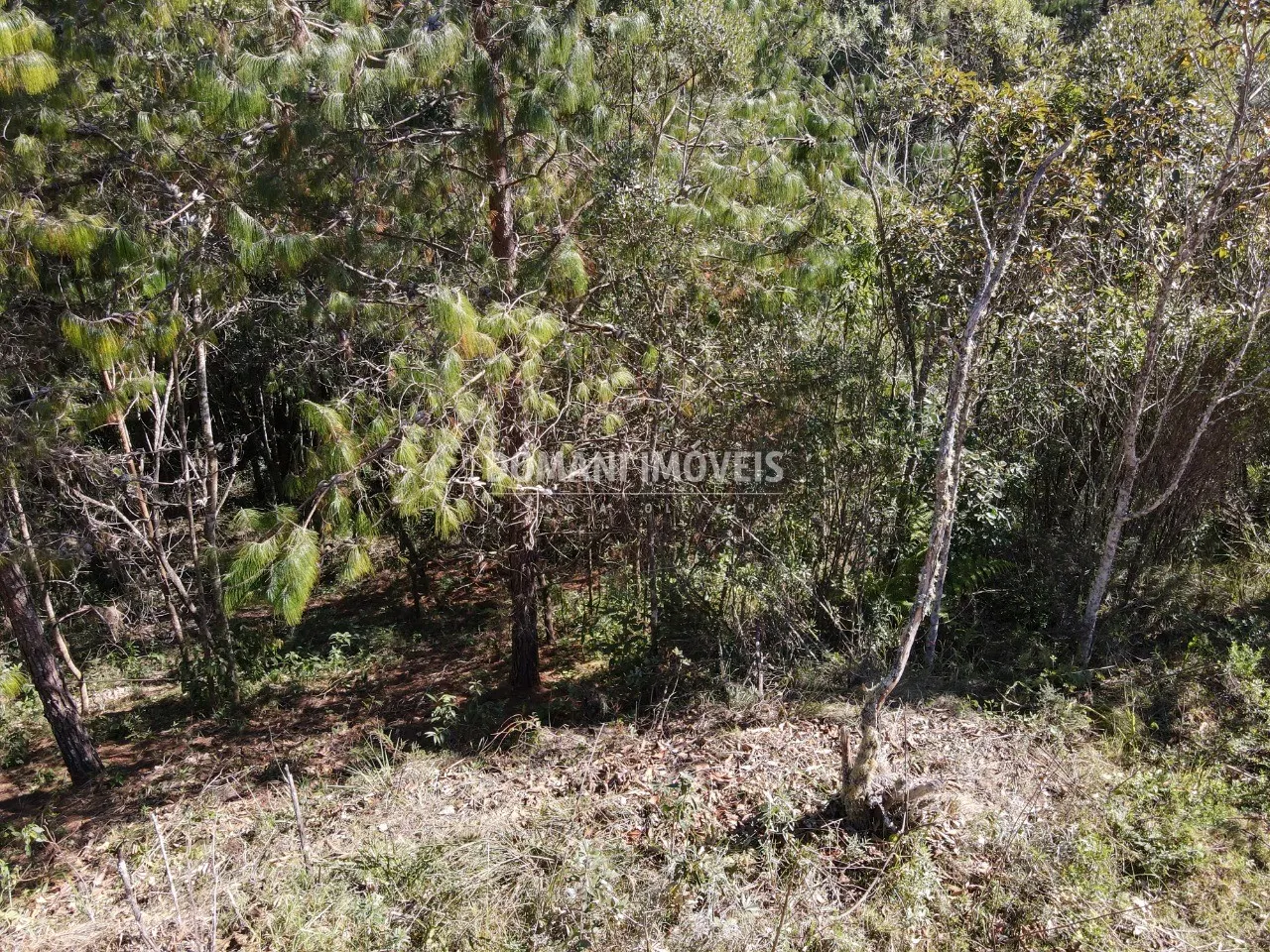 Terreno à venda de 1.050 m² em Campos do Jordão, SP, Brasil