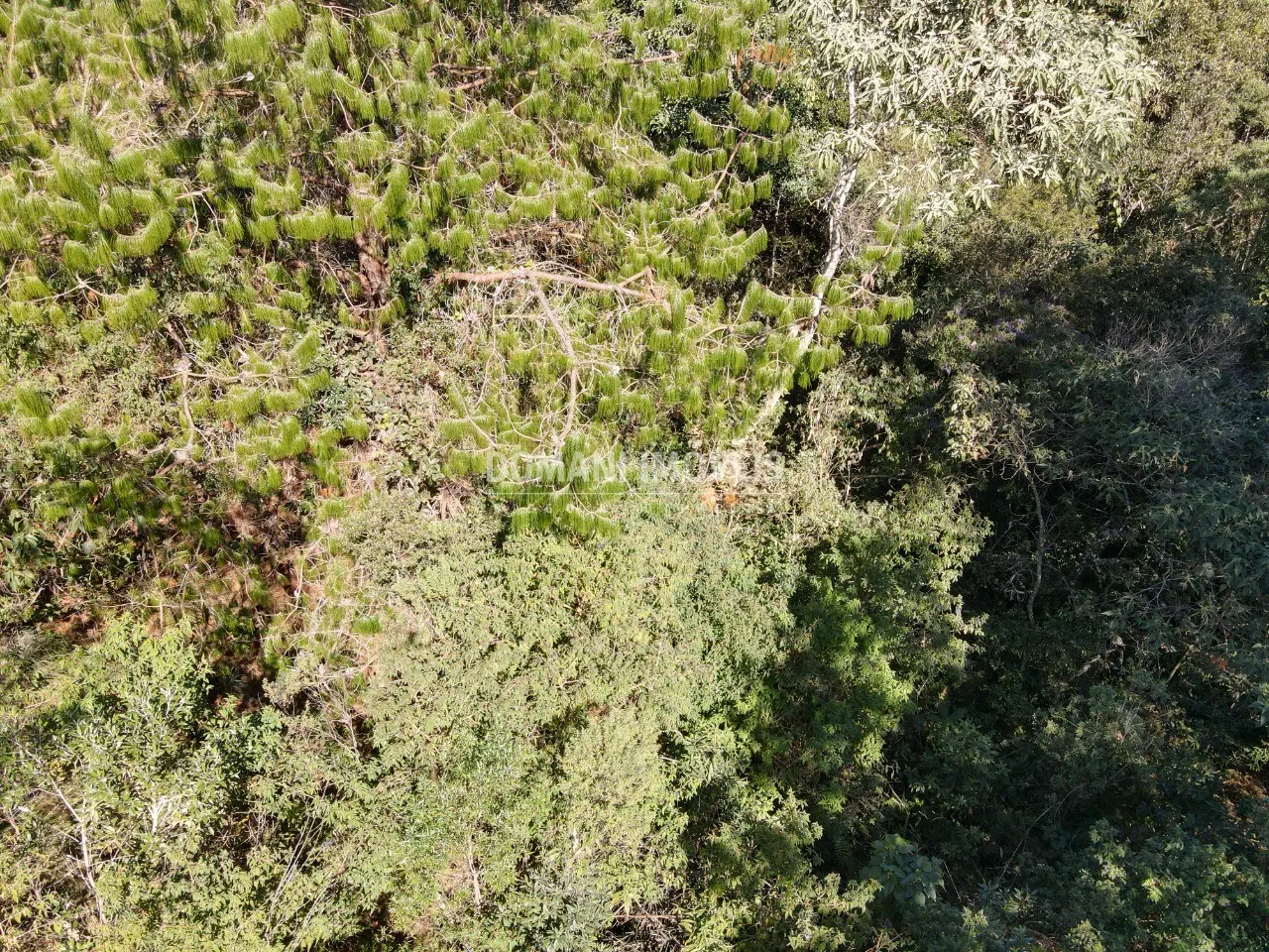 Terreno à venda de 1.050 m² em Campos do Jordão, SP, Brasil