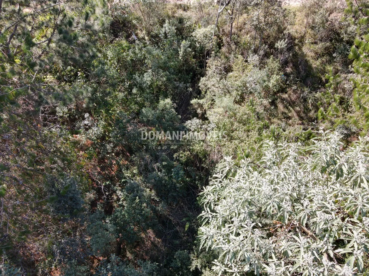 Terreno à venda de 1.050 m² em Campos do Jordão, SP, Brasil