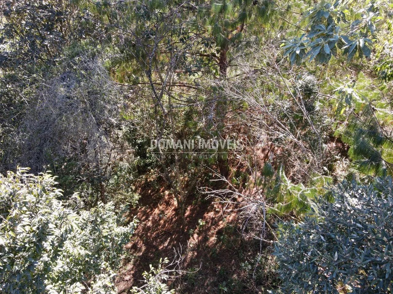 Terreno à venda de 1.050 m² em Campos do Jordão, SP, Brasil