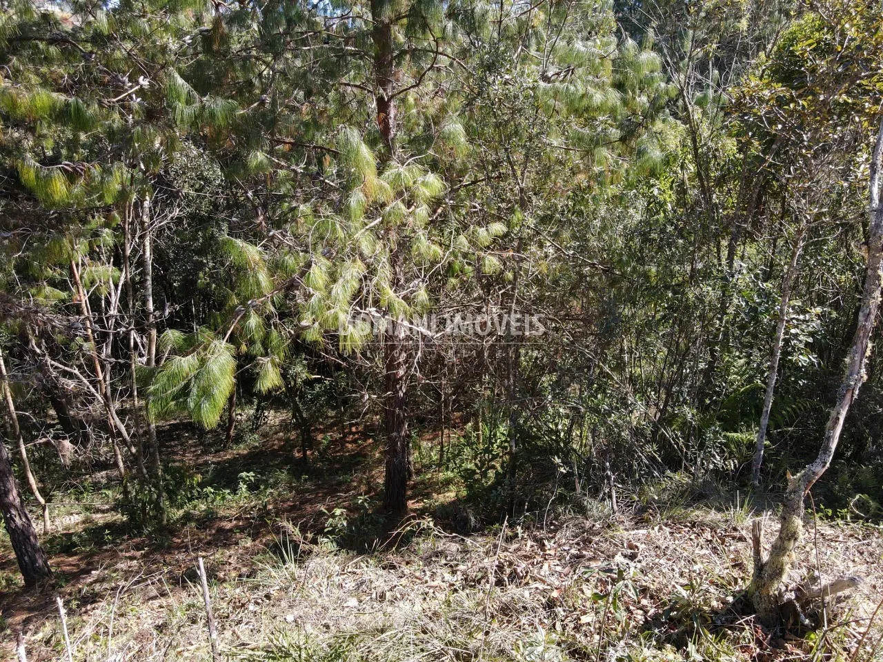 Terreno à venda de 1.050 m² em Campos do Jordão, SP, Brasil