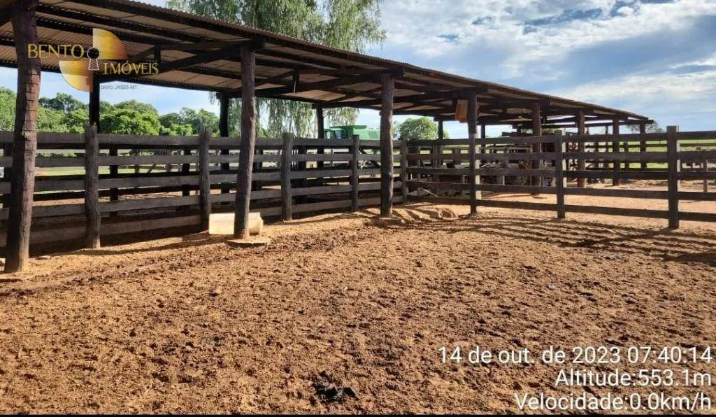 Fazenda à venda de 1.600 ha em Tesouro, MT, Brasil