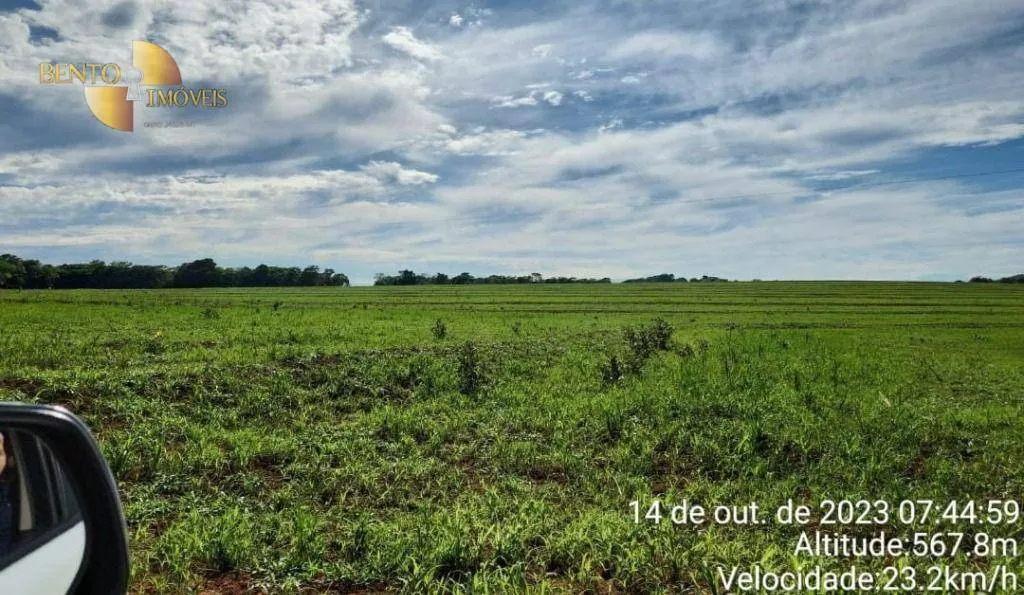 Fazenda à venda de 1.600 ha em Tesouro, MT, Brasil