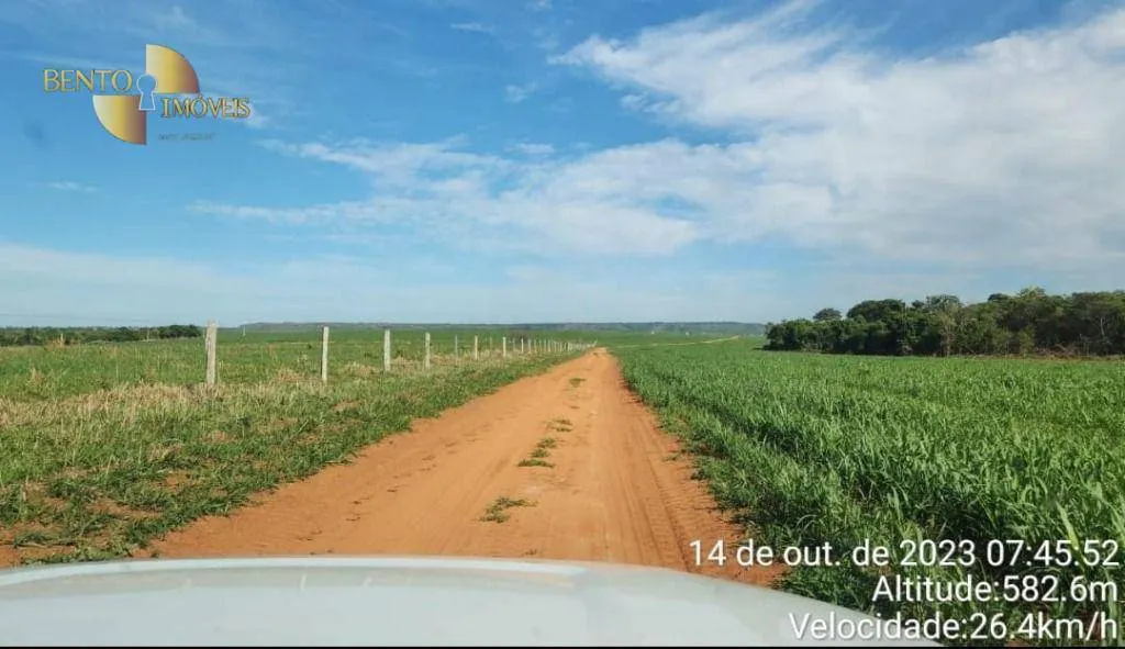 Fazenda à venda de 1.600 ha em Tesouro, MT, Brasil